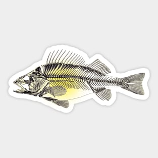 Vintage skeleton perch Sticker